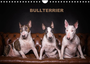 Bullterrier (Wandkalender 2022 DIN A4 quer) von Schubert,  Sven