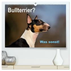 Bullterrier? Was sonst! (hochwertiger Premium Wandkalender 2024 DIN A2 quer), Kunstdruck in Hochglanz von Janetzek,  Yvonne