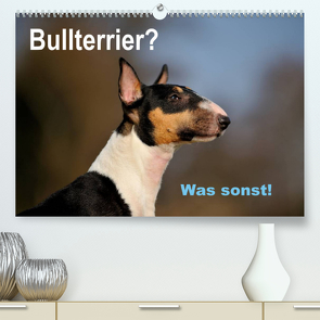 Bullterrier? Was sonst! (Premium, hochwertiger DIN A2 Wandkalender 2023, Kunstdruck in Hochglanz) von Janetzek,  Yvonne