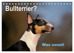 Bullterrier? Was sonst! (Tischkalender 2024 DIN A5 quer), CALVENDO Monatskalender von Janetzek,  Yvonne