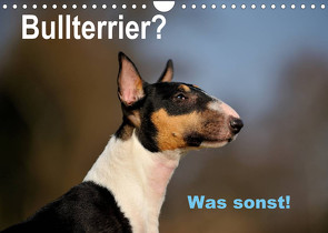 Bullterrier? Was sonst! (Wandkalender 2022 DIN A4 quer) von Janetzek,  Yvonne