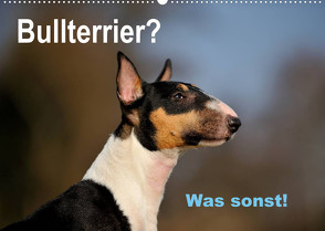 Bullterrier? Was sonst! (Wandkalender 2023 DIN A2 quer) von Janetzek,  Yvonne