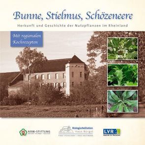 Bunne, Stielmus, Schözeneere