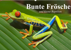 Bunte Frösche und kleine Reptilien (Wandkalender 2022 DIN A2 quer) von Stanzer,  Elisabeth