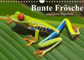 Bunte Frösche und kleine Reptilien (Wandkalender 2022 DIN A4 quer) von Stanzer,  Elisabeth