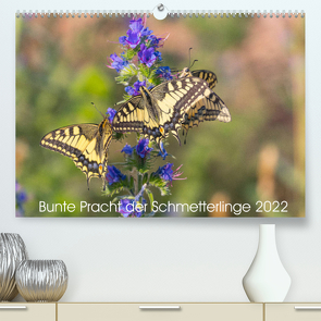 Bunte Pracht der Schmetterlinge (Premium, hochwertiger DIN A2 Wandkalender 2022, Kunstdruck in Hochglanz) von Blickwinkel,  Dany´s