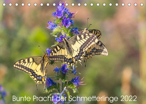Bunte Pracht der Schmetterlinge (Tischkalender 2022 DIN A5 quer) von Blickwinkel,  Dany´s