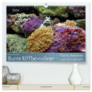 Bunte Riffbewohner – Fische, Anemonen und noch viel mehr (hochwertiger Premium Wandkalender 2024 DIN A2 quer), Kunstdruck in Hochglanz von Schumann,  Bianca