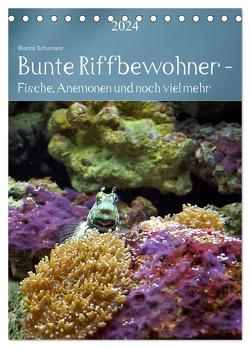 Bunte Riffbewohner – Fische, Anemonen und noch viel mehr (Tischkalender 2024 DIN A5 hoch), CALVENDO Monatskalender von Schumann,  Bianca