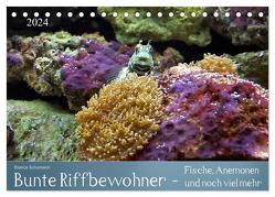 Bunte Riffbewohner – Fische, Anemonen und noch viel mehr (Tischkalender 2024 DIN A5 quer), CALVENDO Monatskalender von Schumann,  Bianca