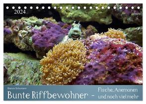 Bunte Riffbewohner – Fische, Anemonen und noch viel mehr (Tischkalender 2024 DIN A5 quer), CALVENDO Monatskalender von Schumann,  Bianca