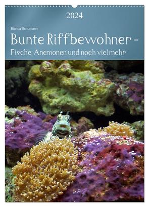 Bunte Riffbewohner – Fische, Anemonen und noch viel mehr (Wandkalender 2024 DIN A2 hoch), CALVENDO Monatskalender von Schumann,  Bianca