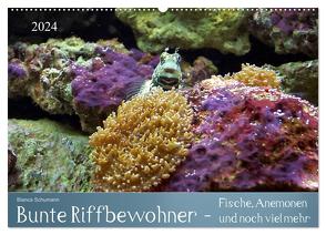 Bunte Riffbewohner – Fische, Anemonen und noch viel mehr (Wandkalender 2024 DIN A2 quer), CALVENDO Monatskalender von Schumann,  Bianca