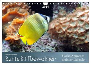 Bunte Riffbewohner – Fische, Anemonen und noch viel mehr (Wandkalender 2024 DIN A4 quer), CALVENDO Monatskalender von Schumann,  Bianca