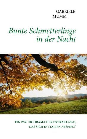 Bunte Schmetterlinge in der Nacht von Mumm,  Gabriele