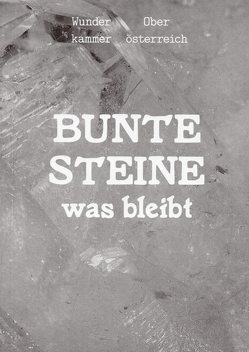 Bunte Steine – was bleibt von Heller,  Martin, Stoff,  Julia