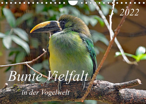 Bunte Vielfalt in der Vogelwelt (Wandkalender 2022 DIN A4 quer) von Kleemann,  Claudia