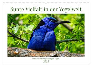 Bunte Vielfalt in der Vogelwelt (Wandkalender 2024 DIN A2 quer), CALVENDO Monatskalender von Kleemann,  Claudia