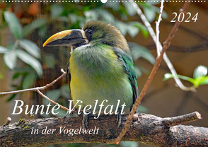 Bunte Vielfalt in der Vogelwelt (Wandkalender 2024 DIN A2 quer) von Kleemann,  Claudia