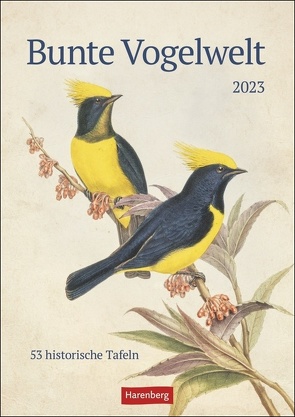 Bunte Vogelwelt Wochenplaner 2023: 53 historische Tafeln mit Vogeldarstellungen in einem hochwertigen Wandkalender. Tierkalender 2023 für kunstbegeisterte Vogelliebhaber. von Harenberg