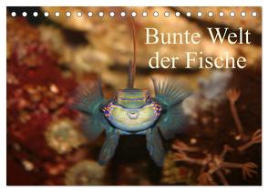 Bunte Welt der Fische (Tischkalender 2024 DIN A5 quer), CALVENDO Monatskalender von Mielewczyk,  Barbara