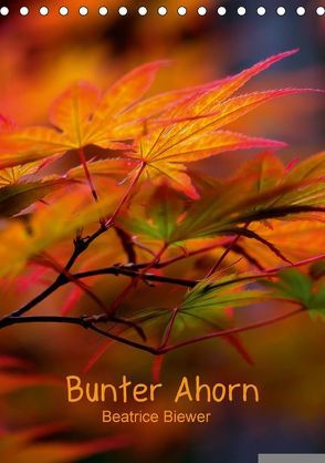 Bunter Ahorn (Tischkalender 2018 DIN A5 hoch) von Biewer,  Beatrice