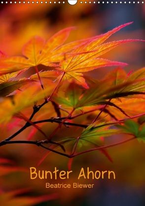 Bunter Ahorn (Wandkalender 2018 DIN A3 hoch) von Biewer,  Beatrice