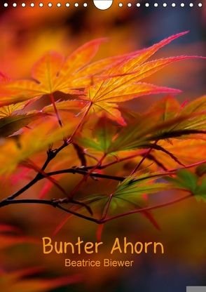 Bunter Ahorn (Wandkalender 2018 DIN A4 hoch) von Biewer,  Beatrice