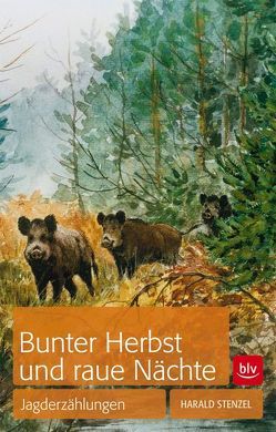 Bunter Herbst und raue Nächte von Stenzel,  Harald