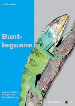 Buntleguane von Schlüter,  Uwe