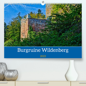 Burg Wildenberg (Premium, hochwertiger DIN A2 Wandkalender 2023, Kunstdruck in Hochglanz) von Kreuzer,  Siegfried