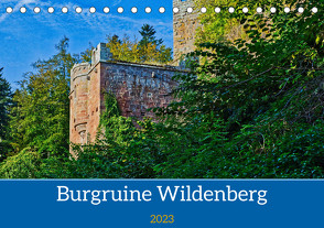 Burg Wildenberg (Tischkalender 2023 DIN A5 quer) von Kreuzer,  Siegfried