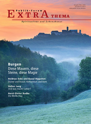 Burgen – Diese Mauern, diese Steine, diese Magie von Baier,  Heike, Grün,  Anselm, Hippchen,  Raoul, Jäger-Sommer,  Johanna, Jung,  Volker, Lerch,  Eva-Maria, Meesmann,  Hartmut, Ochs,  Heidrun, Radke,  Horst-Dieter, Rohrwick,  Armin, Rüffer,  Anita, Weber,  Richard, Zeune,  Joachim