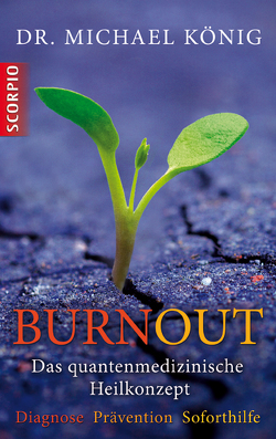 Burnout von Koenig,  Michael