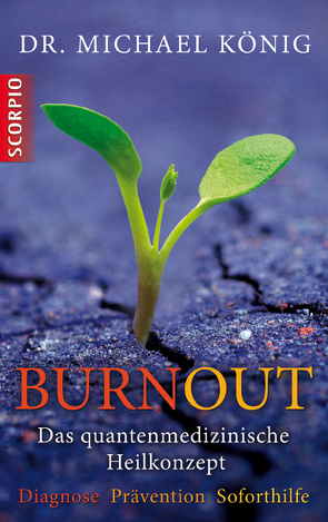 Burnout von Koenig,  Michael