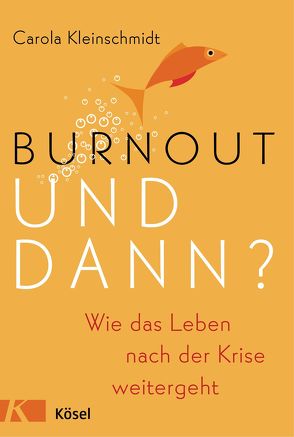 Burnout – und dann? von Kleinschmidt,  Carola