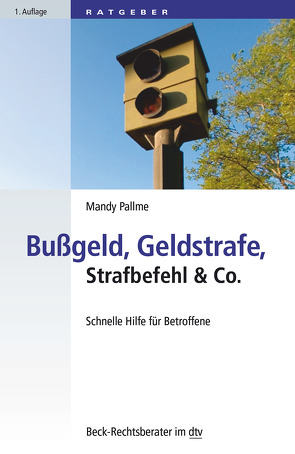 Bußgeld, Geldstrafe, Strafbefehl & Co. von Pallme,  Mandy