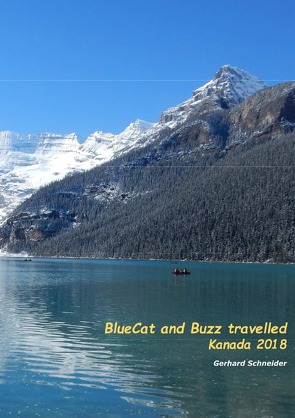 Buzz travelled / BlueCat and Buzz travelled von Schneider,  Gerhard