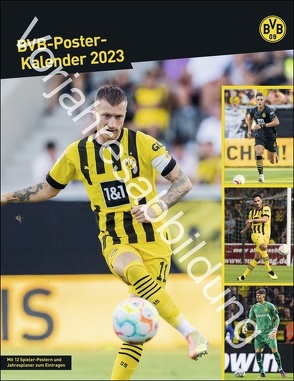 BVB Posterkalender 2024