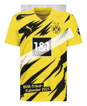 BVB Trikotkalender 2022 von Heye