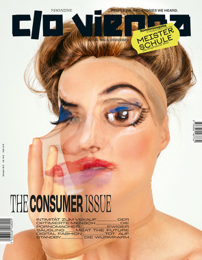 The Consumer Issue von Mayer-Salvi,  Antje