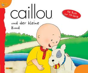 Caillou Geschichtenbuch