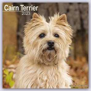 Cairn Terrier – Cairn Terrier 2023 – 16-Monatskalender