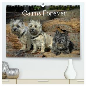 Cairns Forever (hochwertiger Premium Wandkalender 2024 DIN A2 quer), Kunstdruck in Hochglanz von homwico,  homwico