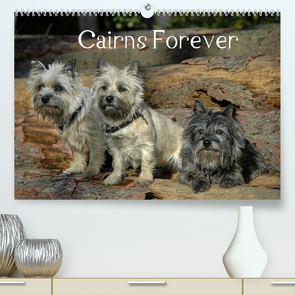 Cairns Forever (Premium, hochwertiger DIN A2 Wandkalender 2022, Kunstdruck in Hochglanz) von homwico