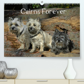 Cairns Forever (Premium, hochwertiger DIN A2 Wandkalender 2023, Kunstdruck in Hochglanz) von homwico