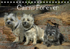 Cairns Forever (Tischkalender 2022 DIN A5 quer) von homwico