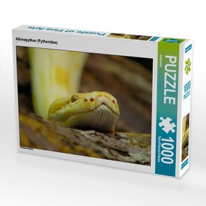 CALVENDO Puzzle Albinopython (Pythonidae) 1000 Teile Lege-Größe 64 x 48 cm Foto-Puzzle Bild von kattobello