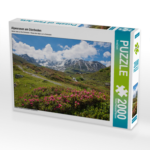 CALVENDO Puzzle Alpenrosen am Dürrboden 2000 Teile Lege-Größe 90 x 67 cm Foto-Puzzle Bild von SusaZoom