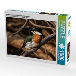 CALVENDO Puzzle Amazonasfischer, Chloroceryle amazona 1000 Teile Lege-Größe 64 x 48 cm Foto-Puzzle Bild von Jürgen Wöhlke